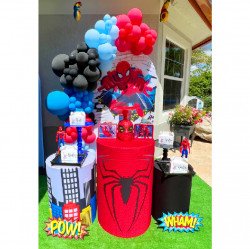 Spiderman B Modern Decor Package #1