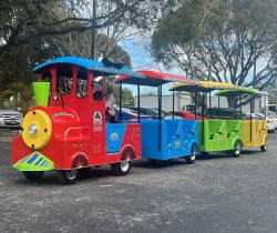 Multicolor Trackless Train