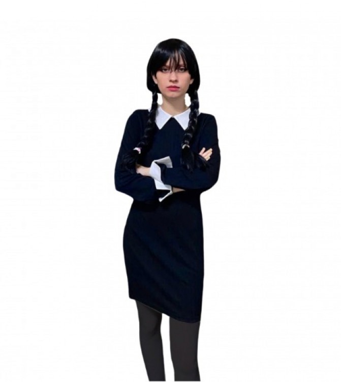 Wednesday Addams Characters