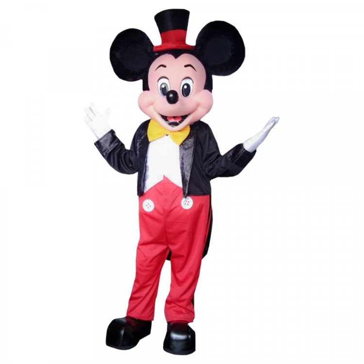 Deluxe Mickey Mouse - Kids Fairyland Party Rental Lauderhill FL