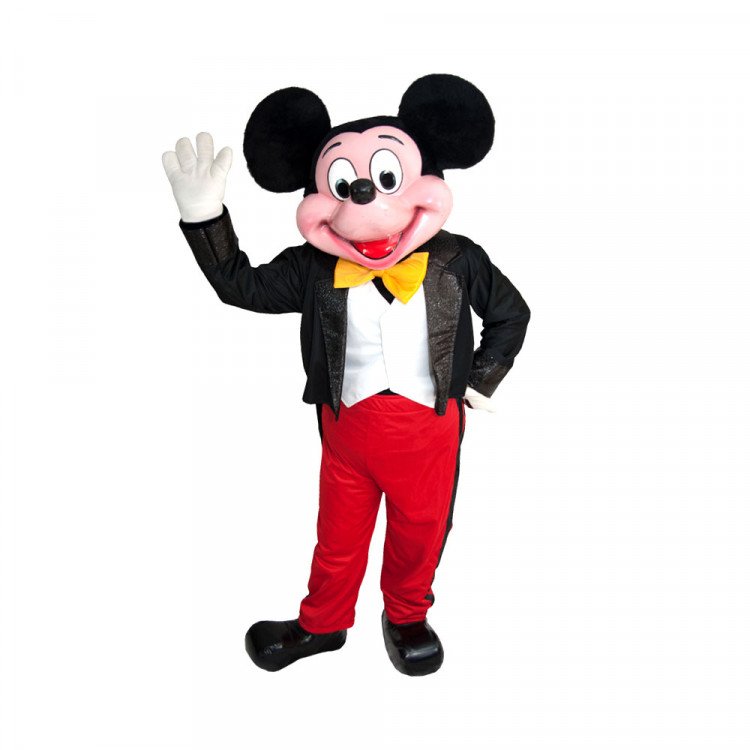 Fiber Mickey Mouse - Kids Fairyland Party Rental Lauderhill FL