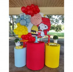 Modern Decor Package #1 Snoopy