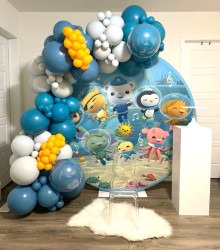 Modern Decor Package #1 B Octonauts