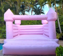 Imagen20de20WhatsApp202025 02 0220a20las2010.47.41 63cd2a9f 1 Pastel Pink Bounce House Castle